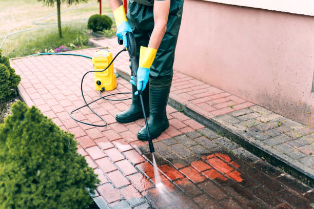 Deck Cleaning Services in Palm Springs North, FL
