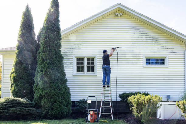 Why Choose Our Certified Pressure Washing Experts for Your Project Needs in Palm Springs North, FL?