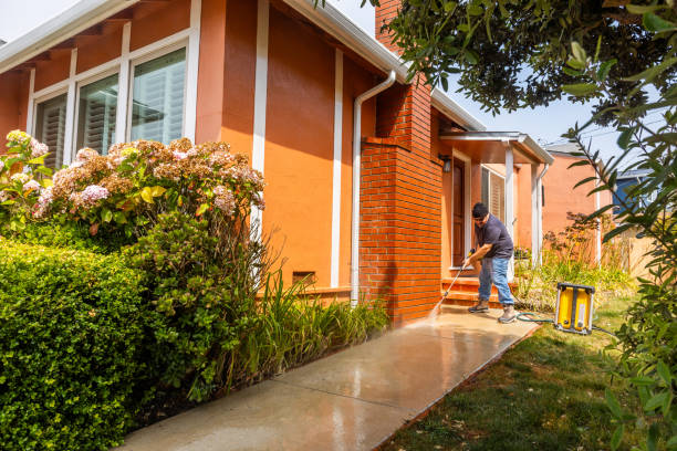 Best Pressure Washing Near Me  in Palm Springs North, FL