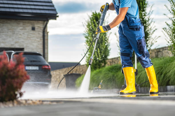 Best Roof Pressure Washing  in Palm Springs North, FL