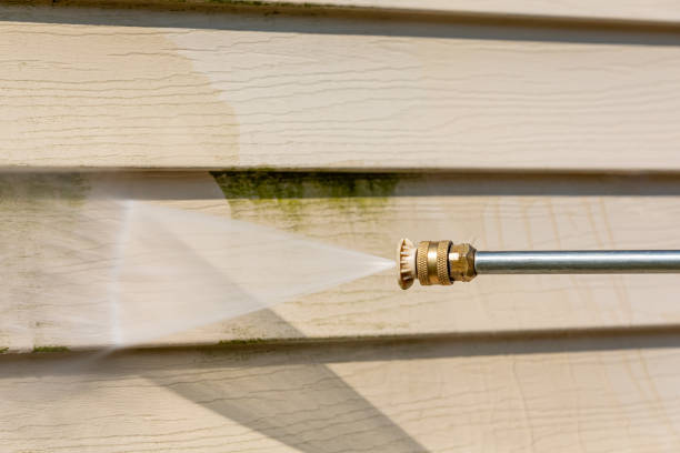 Best House Pressure Washing  in Palm Springs North, FL