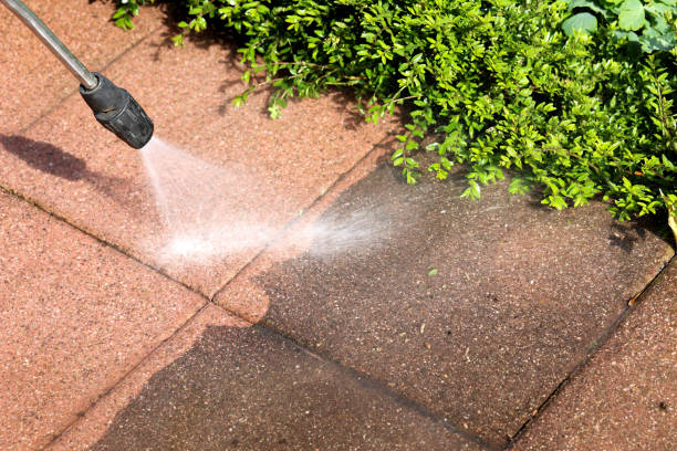 Best Exterior Home Cleaning  in Palm Springs North, FL