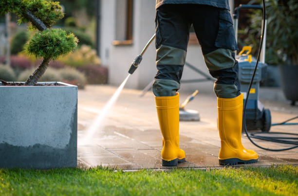 Best Exterior Home Cleaning  in Palm Springs North, FL